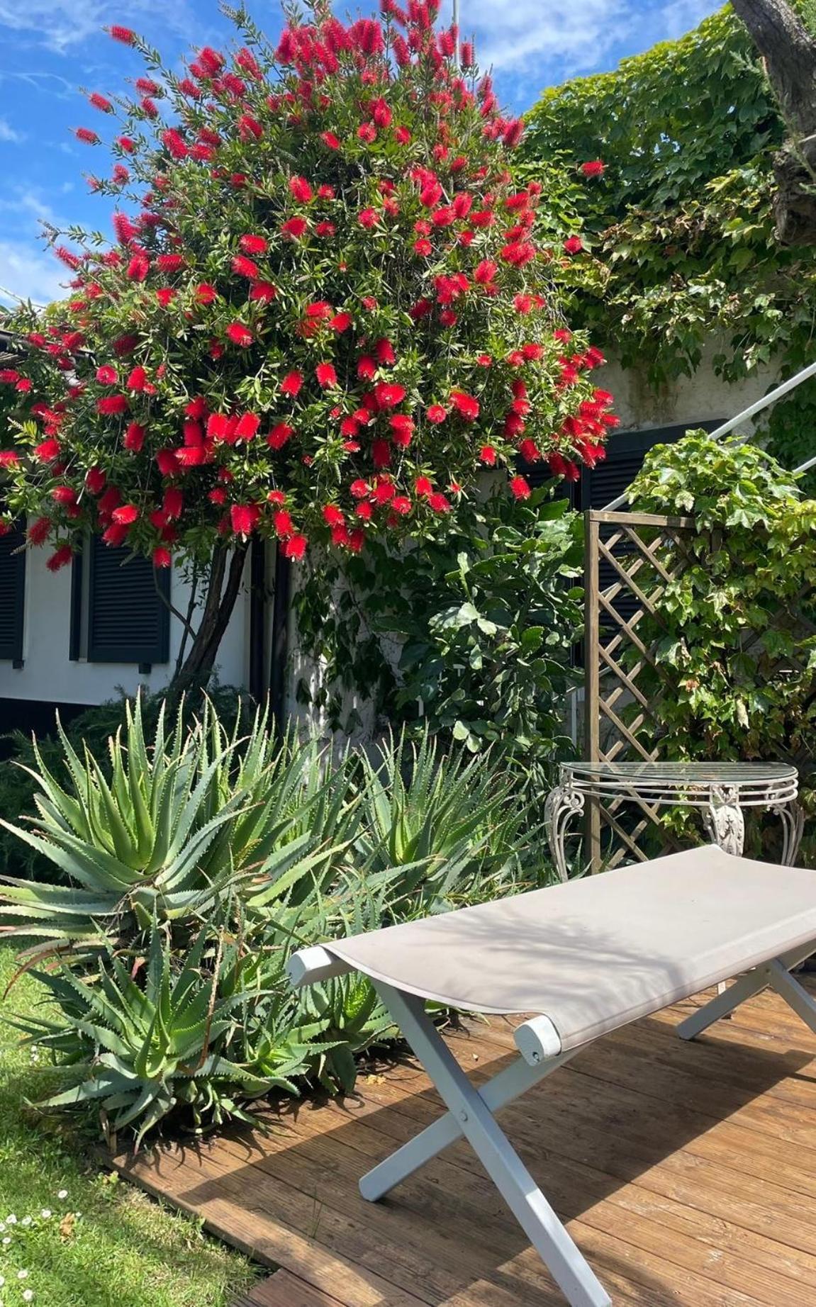 Hotel Atlantic Marina Di Carrara Εξωτερικό φωτογραφία